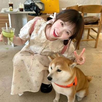 狗仔杜宾